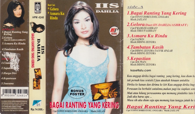 Lirik Lagu Bagai Ranting Kering - Iis Dahlia