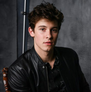 Download Lagu & Lirik Lagu Shawn Mendes